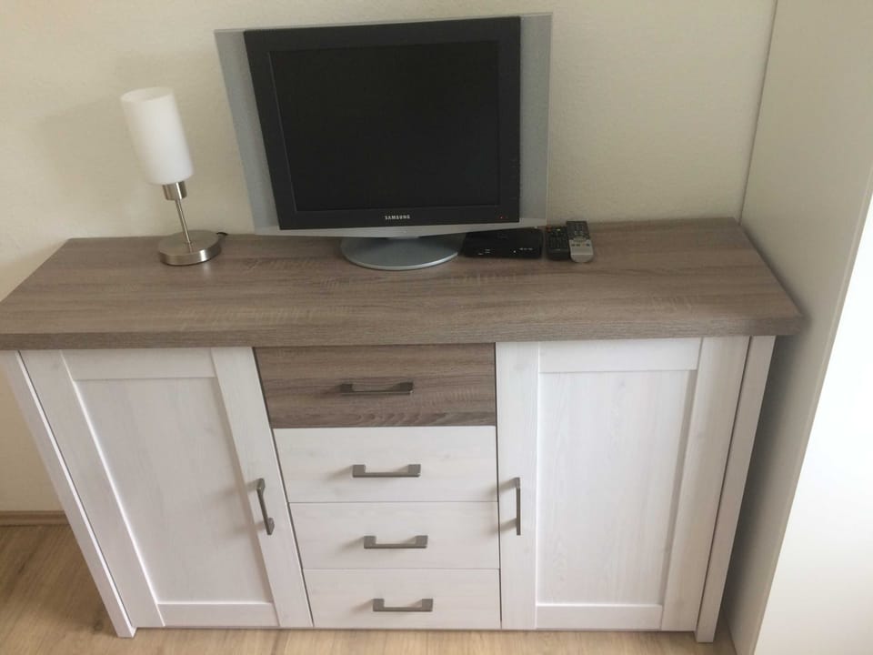 Television