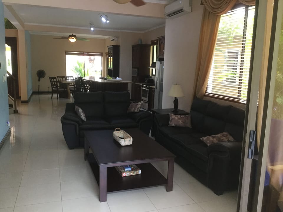 Sala with leather sofas