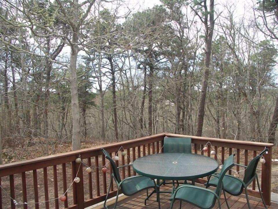 secluded backyard looks over conservation area, perfect for a relaxed meal/drink