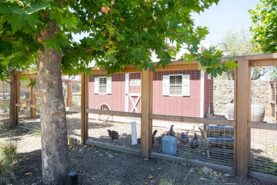 Farm Restaurant Chicken Coop