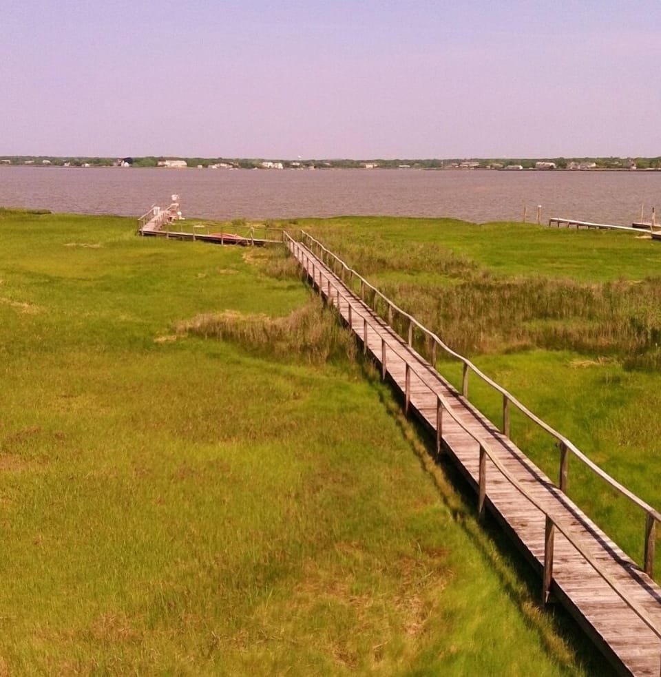 Beautiful walkway from house to dock through wetlands full of beautiful birds