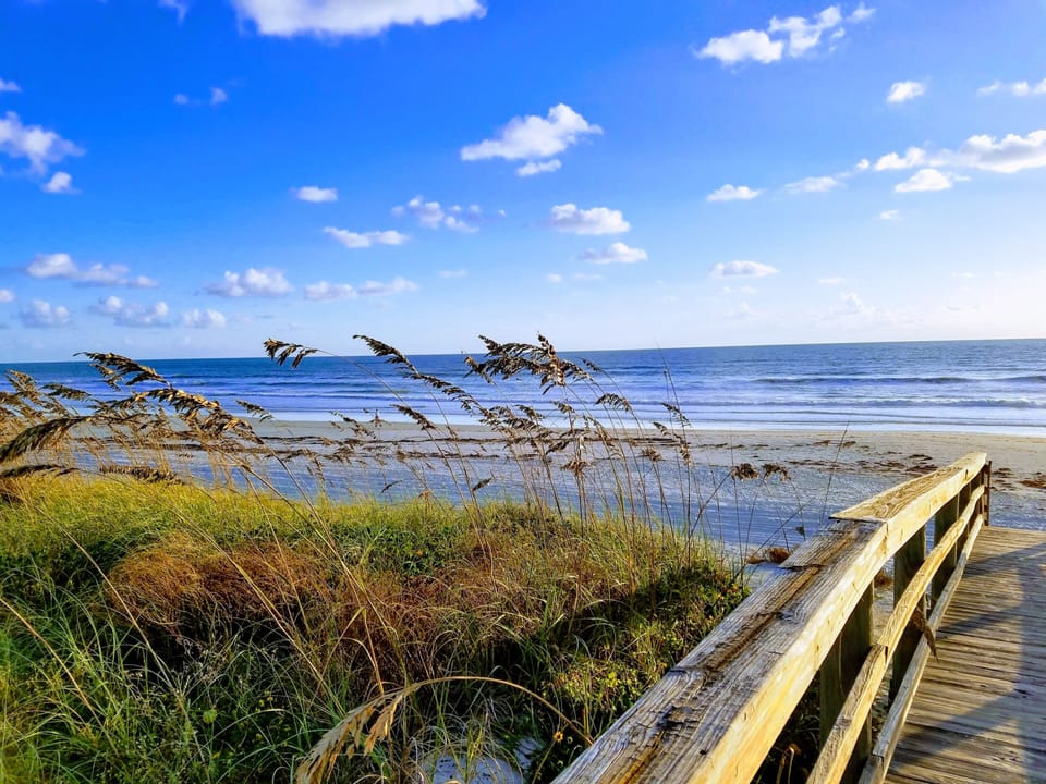 A perfect morning walk ...