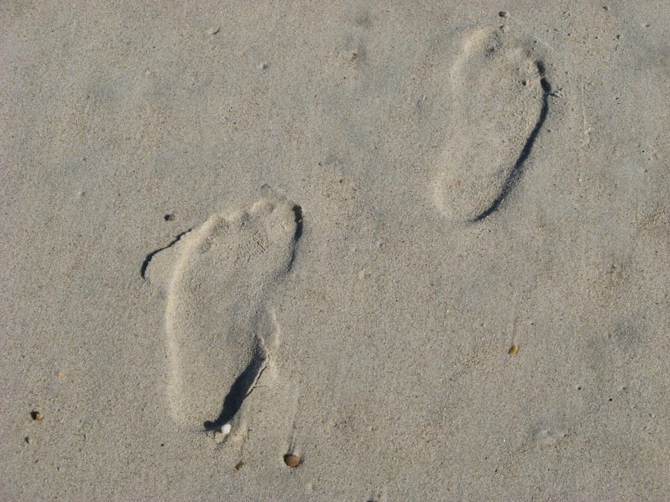 At the end of the day, leave nothing on the beach but your footprints