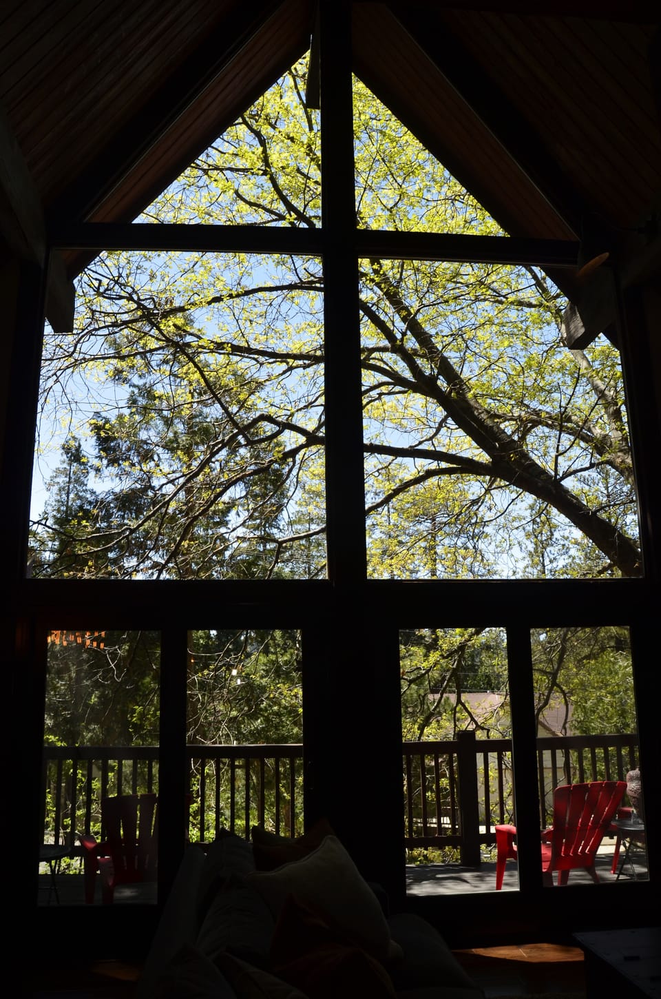 Large A frame window with an incredible outdoor view