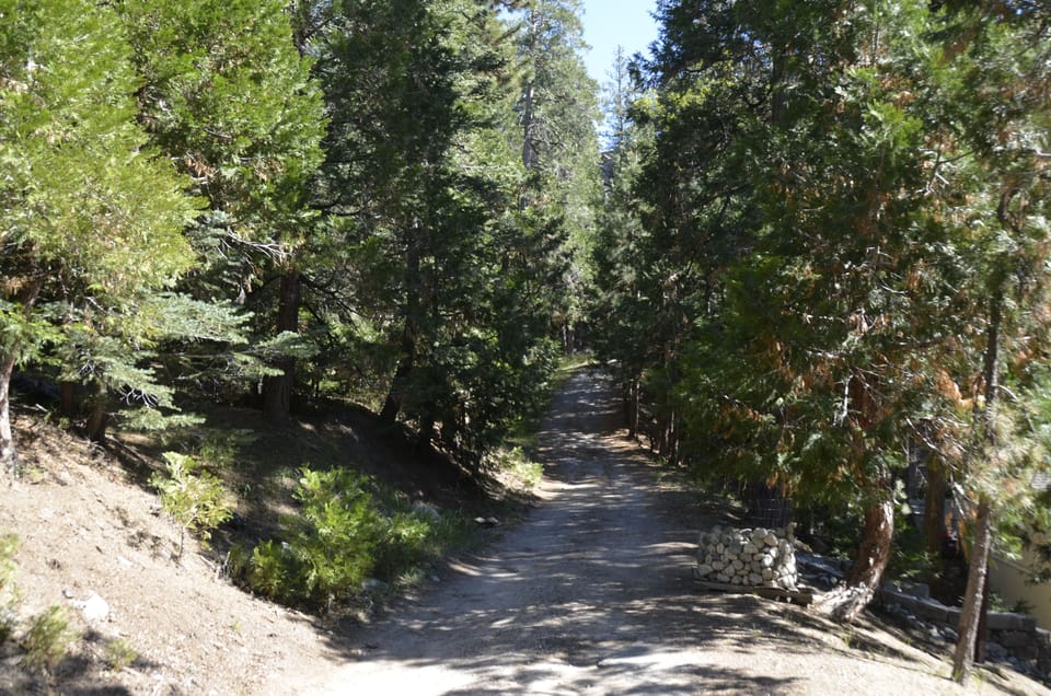 Access road behind house.