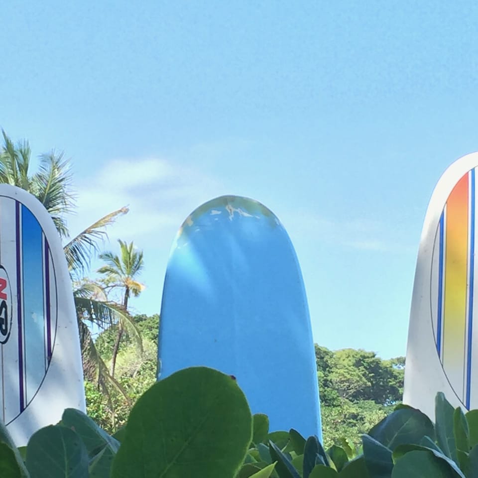 Surf's Up!