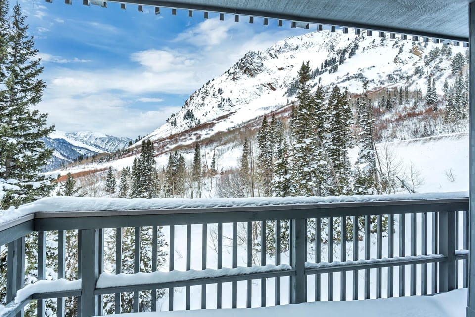 5 View from the Deck