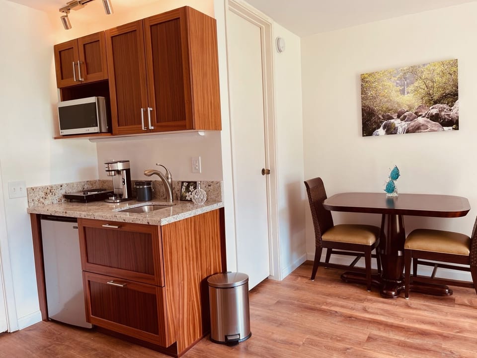 Kitchenette in downstairs master bedroom