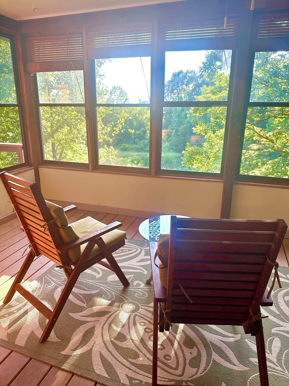 Back screened porch