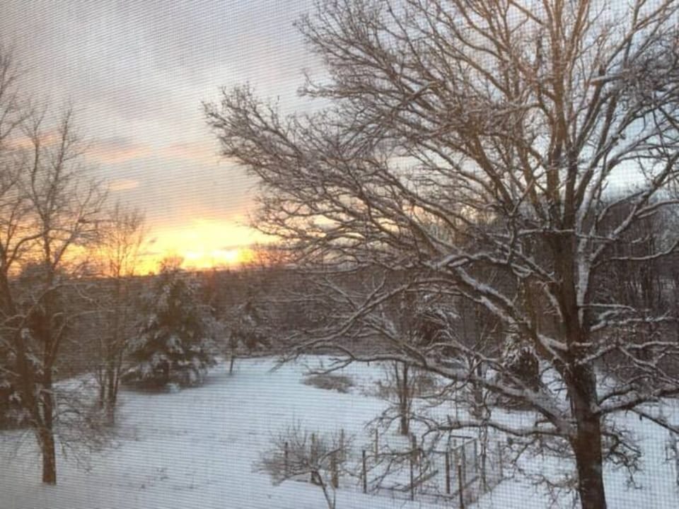 Backyard in winter(3.4 acres)