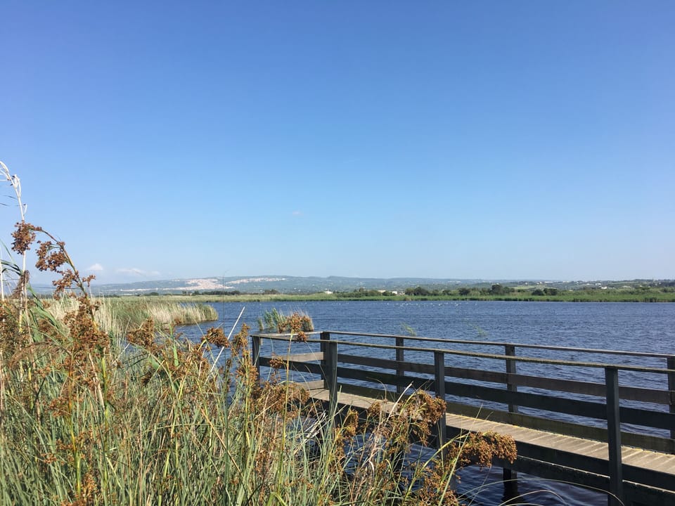 The lake five minutes away for bird watching and long walks 