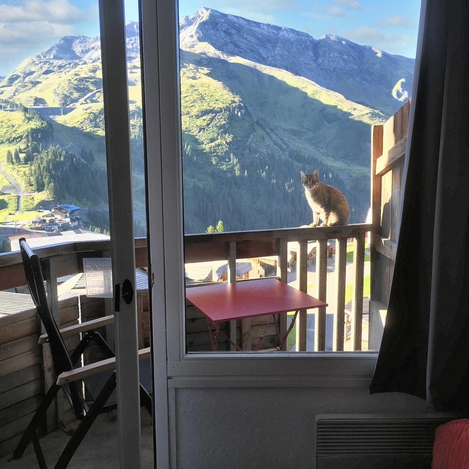 Mountain view