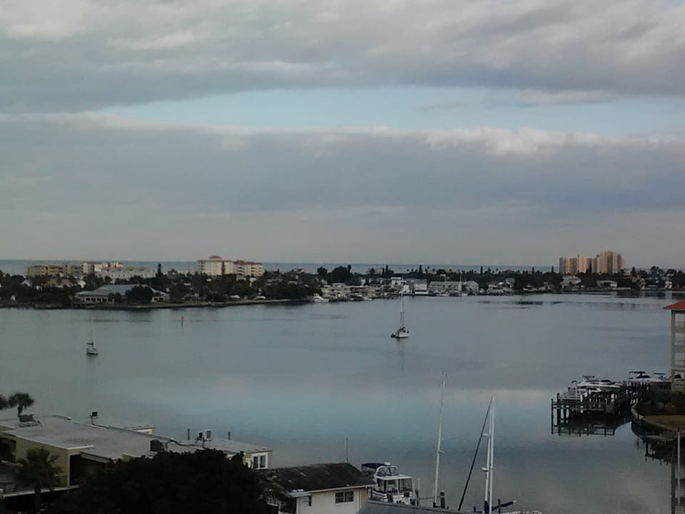 View from the living room.

