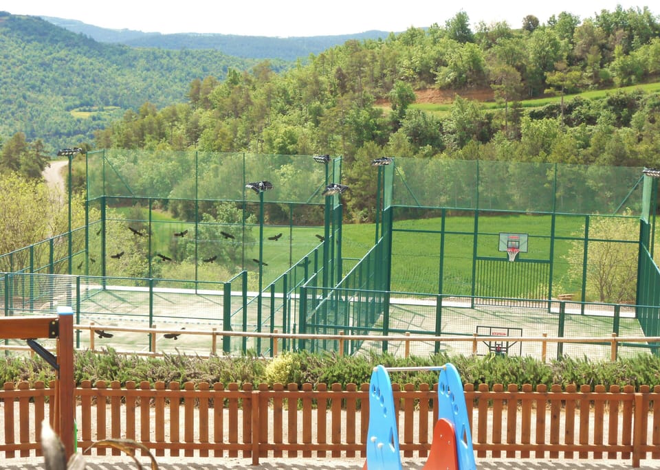 Sport court