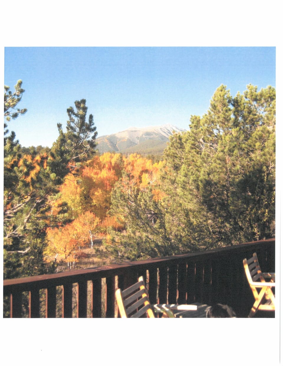 Amazing fall foliage right from the deck! 