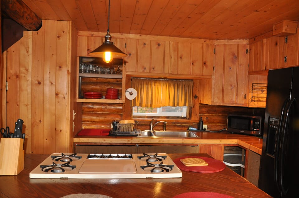 Prosperity Cabin Living Area