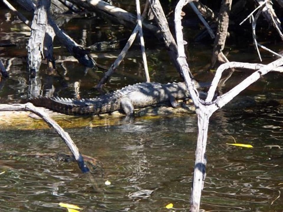 Go On A Wild River Boat Tour