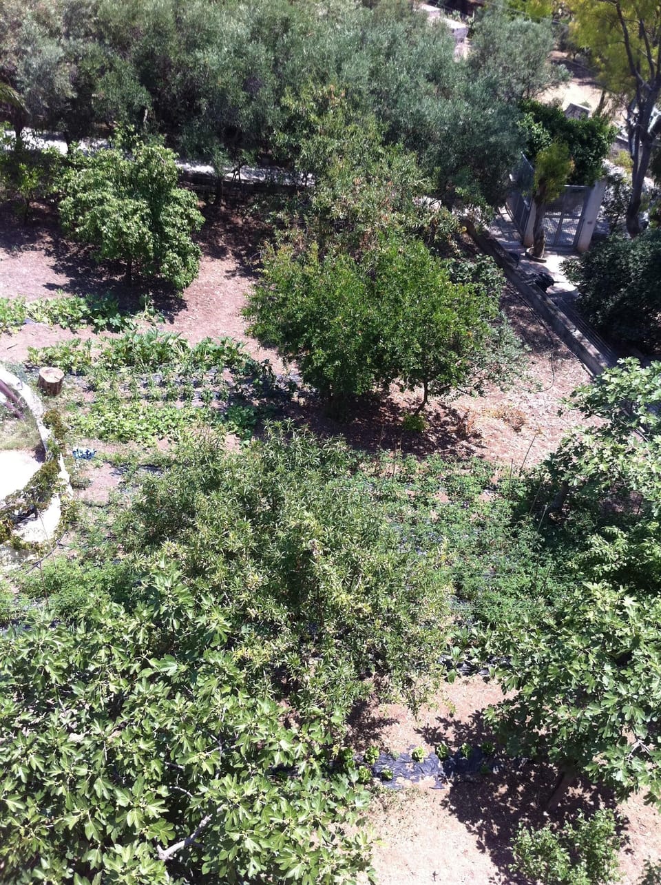 Property grounds