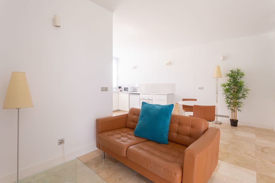 Sofa and tv 