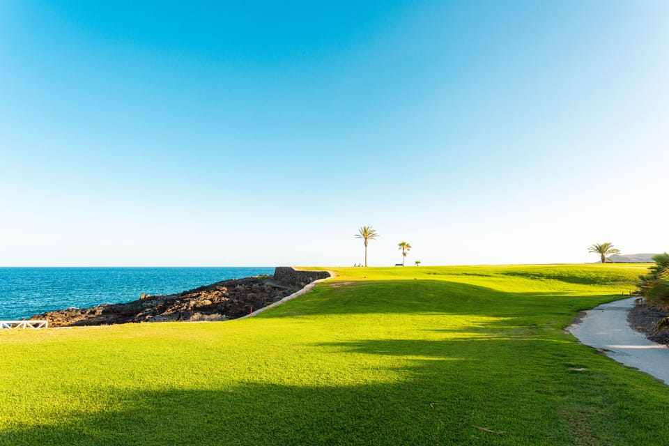 Golf field during the sunset