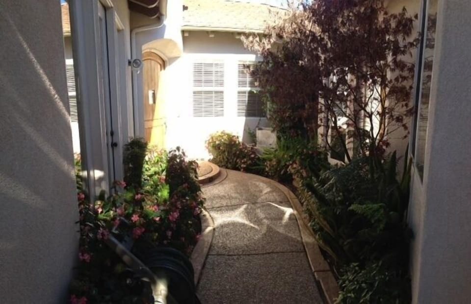 Court Yard
