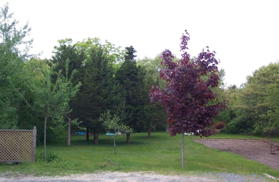 Large private yard