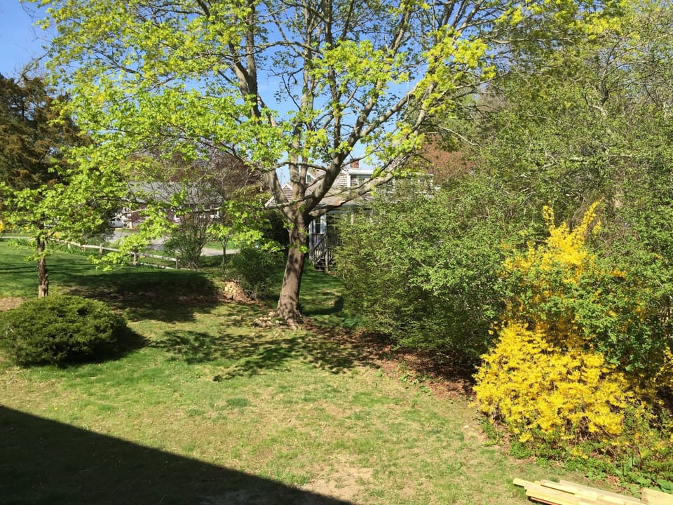 Private back yard with gas grill and fire pit
