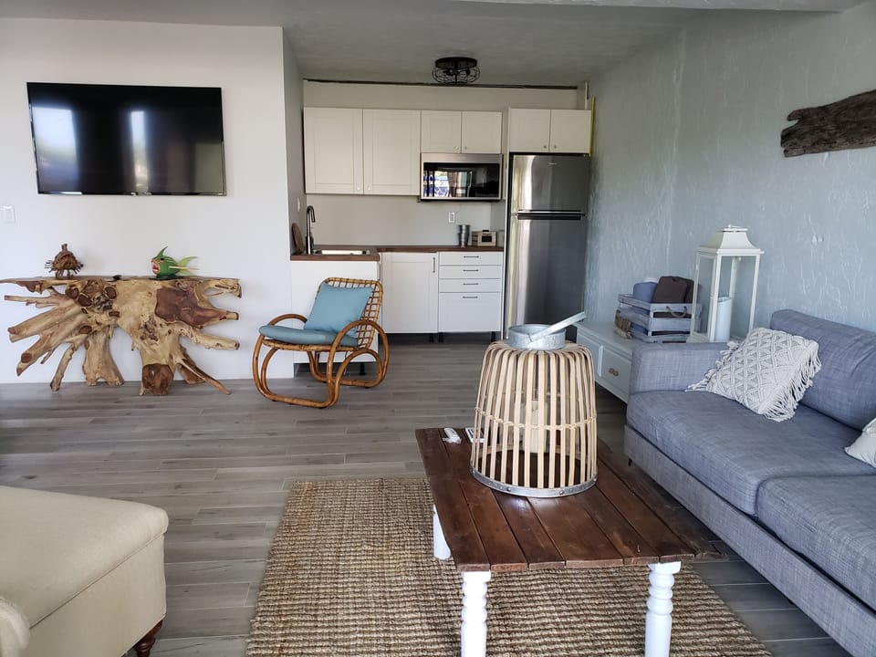Downstairs - kitchenette has full size fridge, convection micro, industrial ice