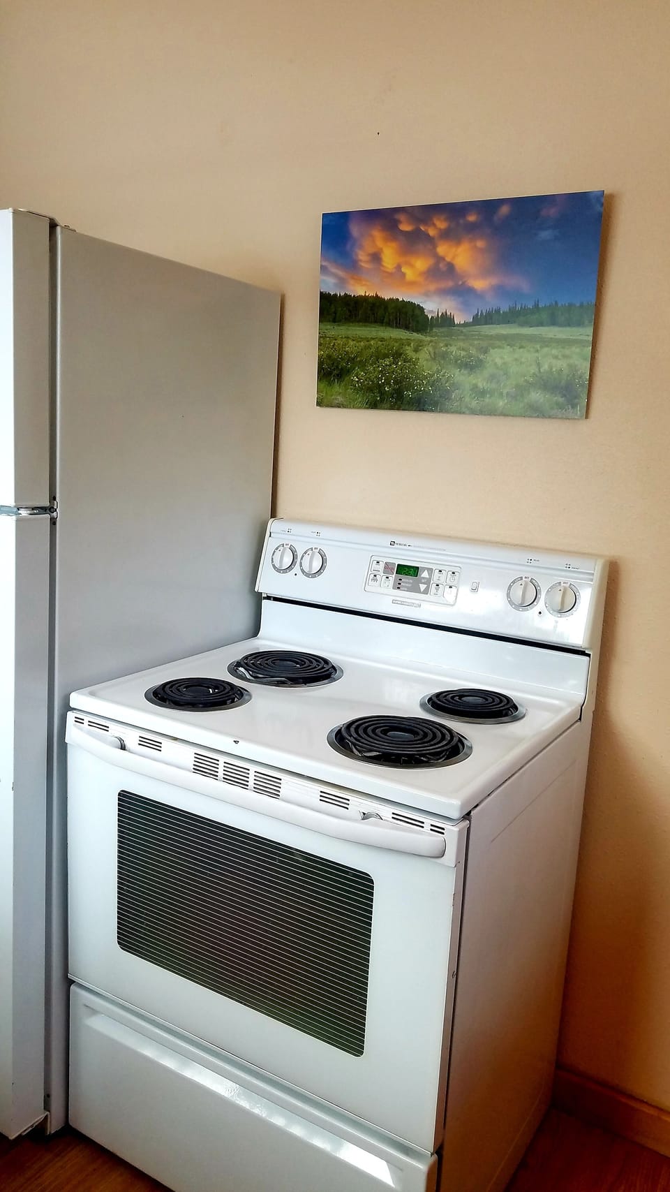 Electric stove top