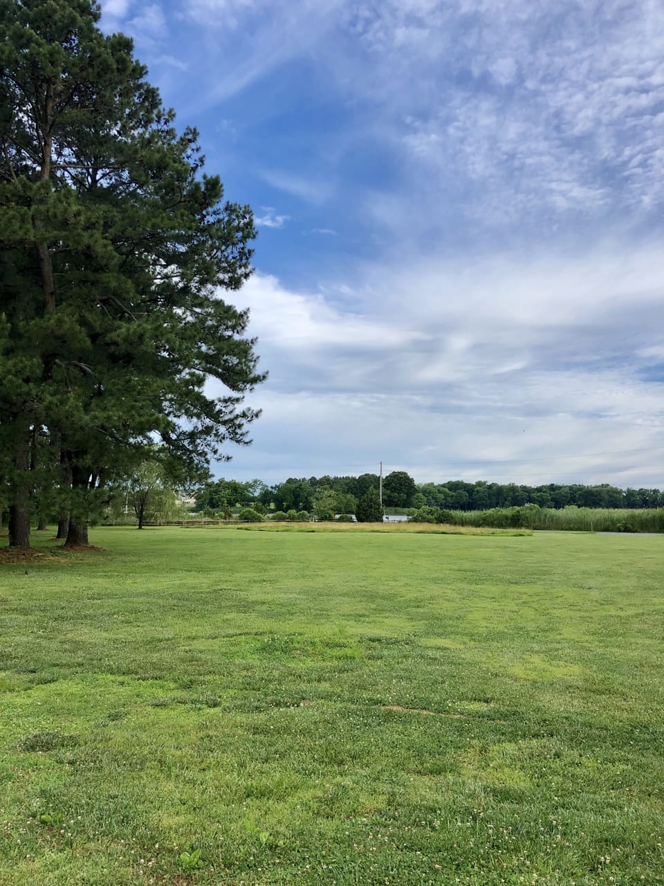 Acres of property and woods for you to explore.