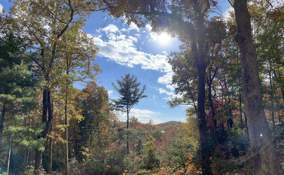 View looking south over Mountain Bridge Wilderness Area