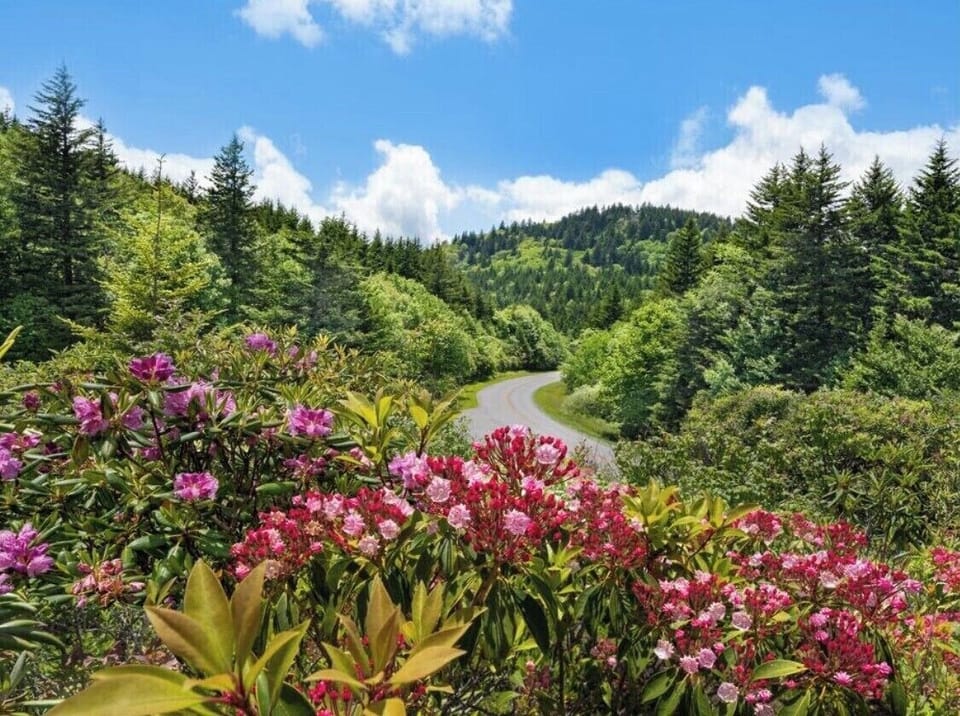 Blue Ridge Parkway Grandfather Mountain June