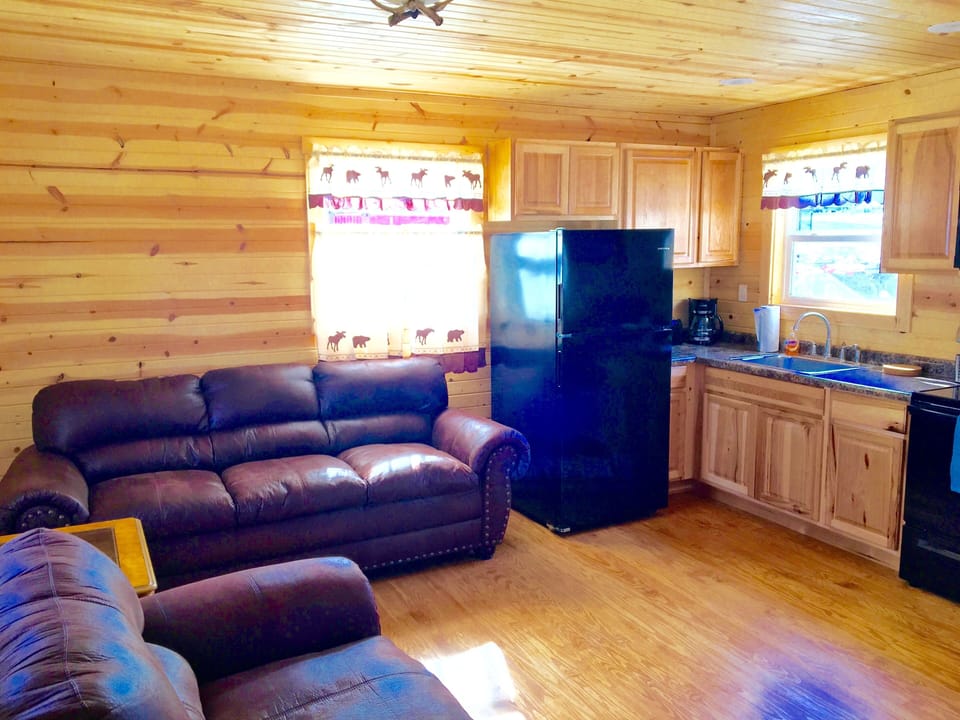Living Room and Kitchen
