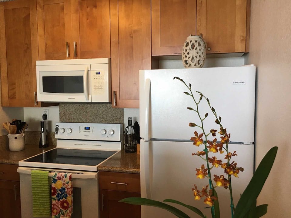 Glass top stove and microwave. 
New dinnerware, silverware, pots & pans etc. 