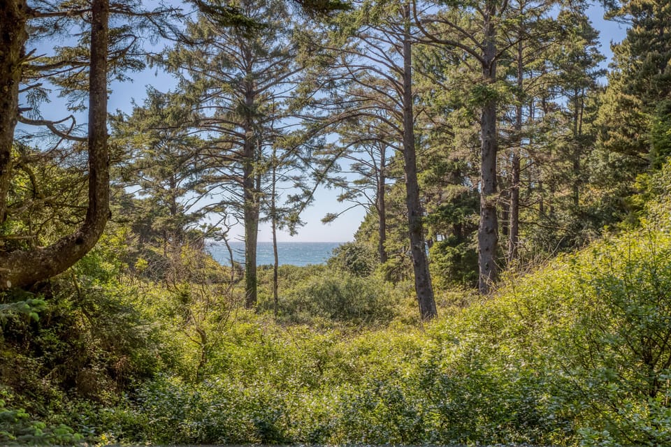 Nature Views