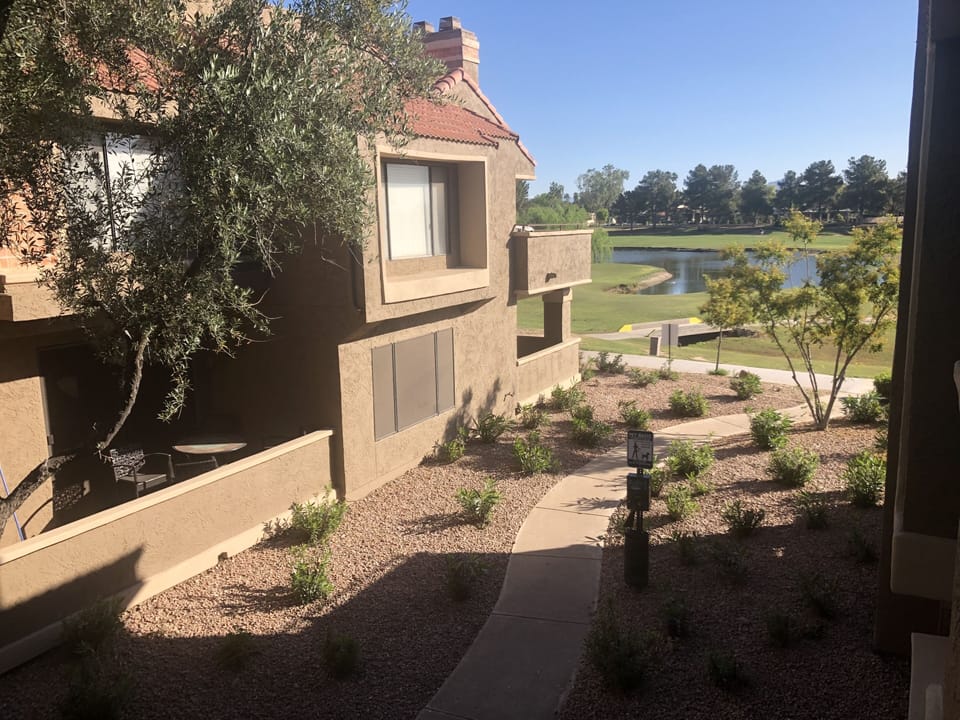 View from patio