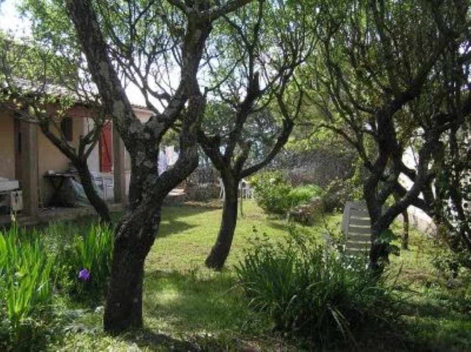 Garden, Park