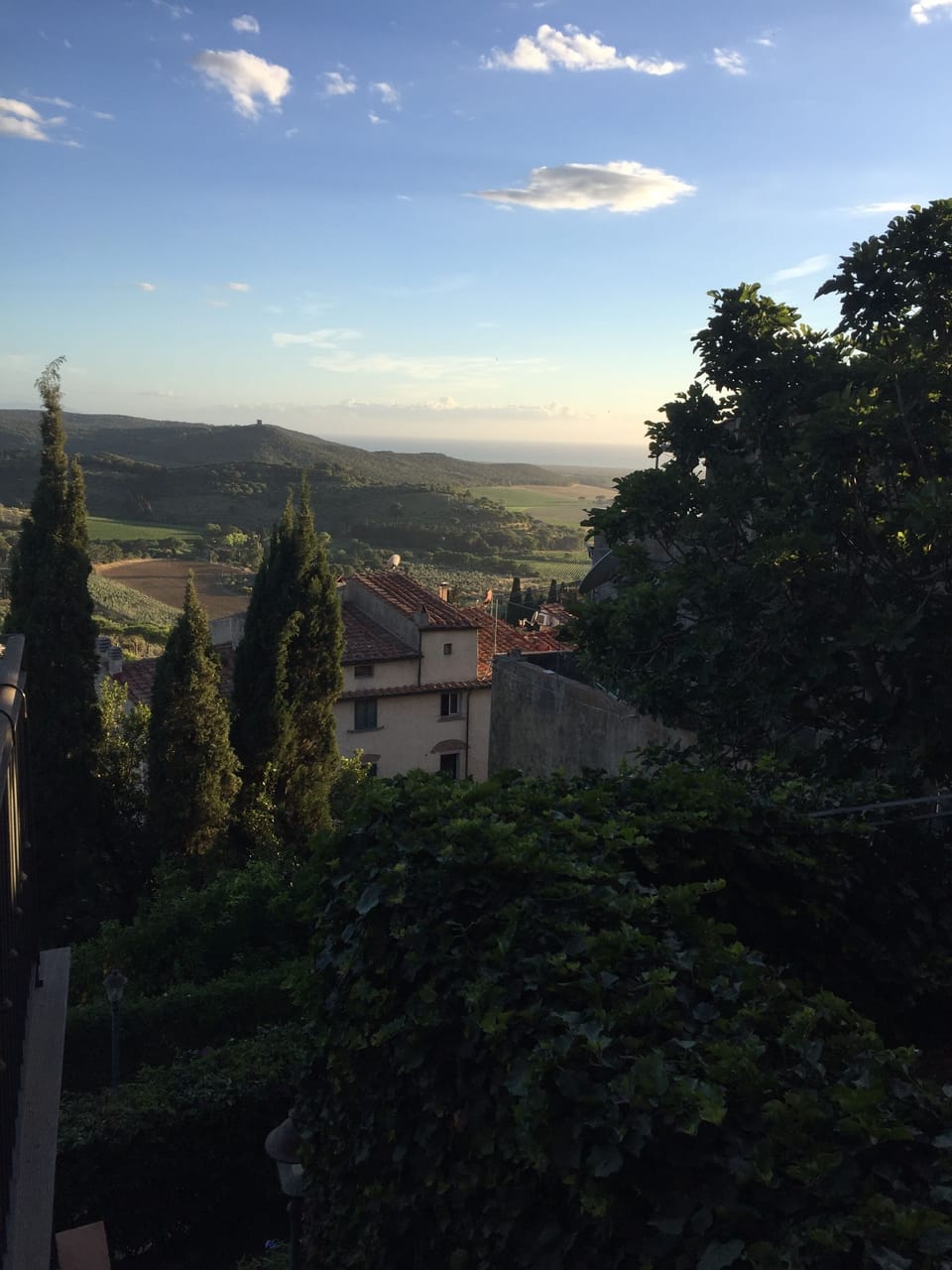View from property