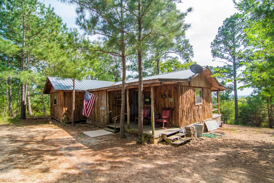 Cabin under the tall pines with great views