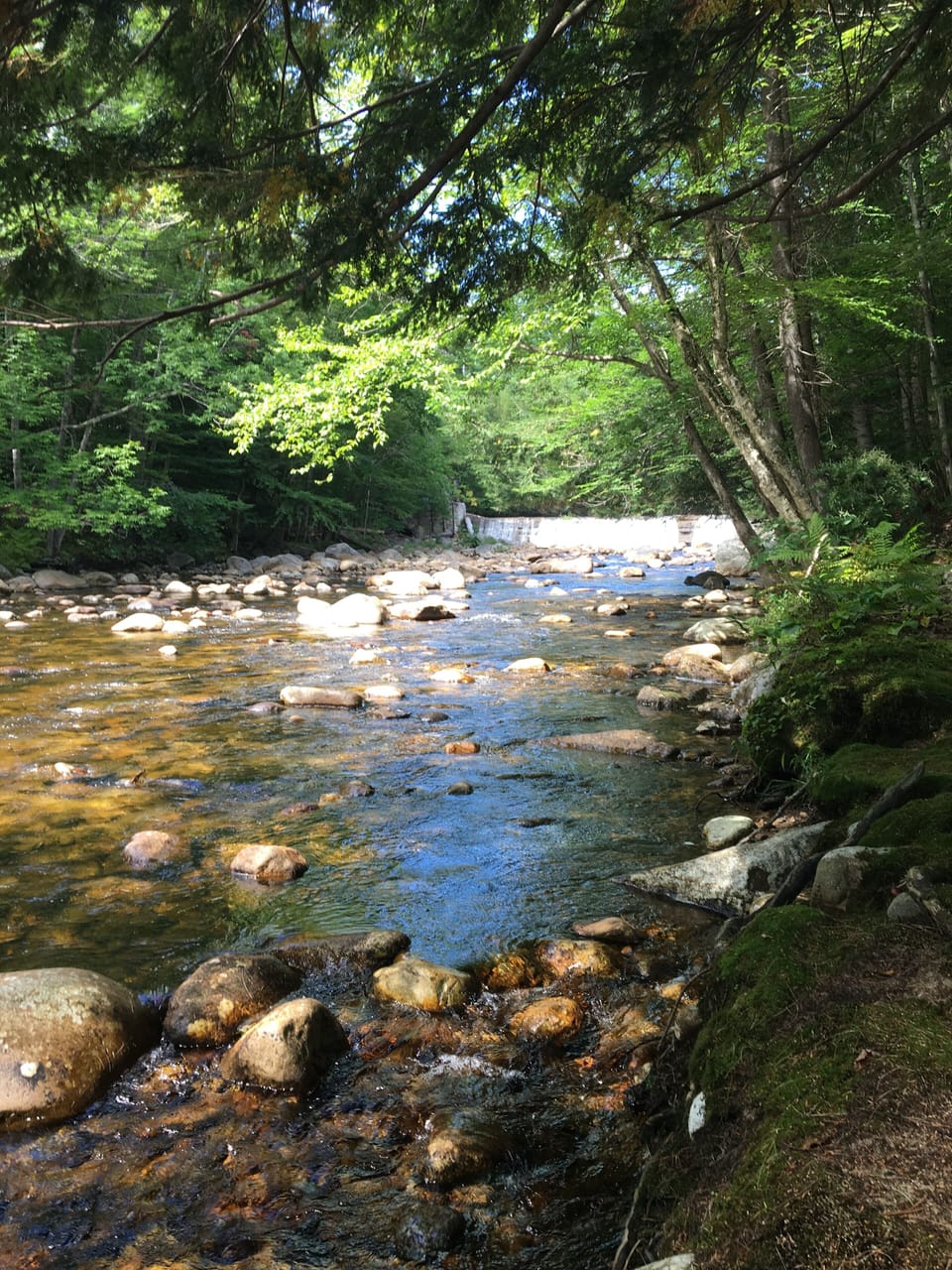 River behind condo