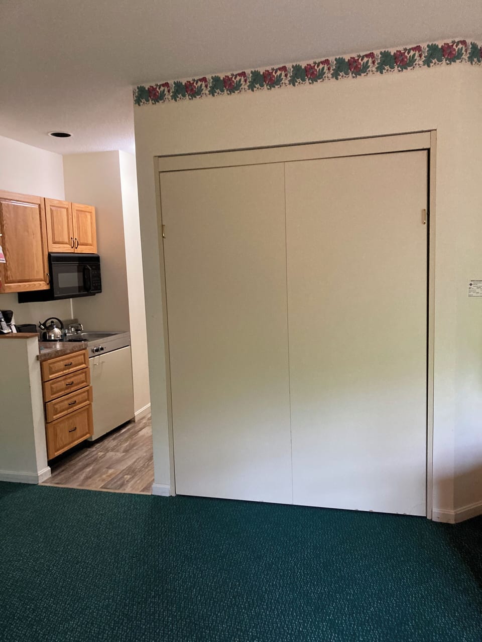 Murphy bed unit 2