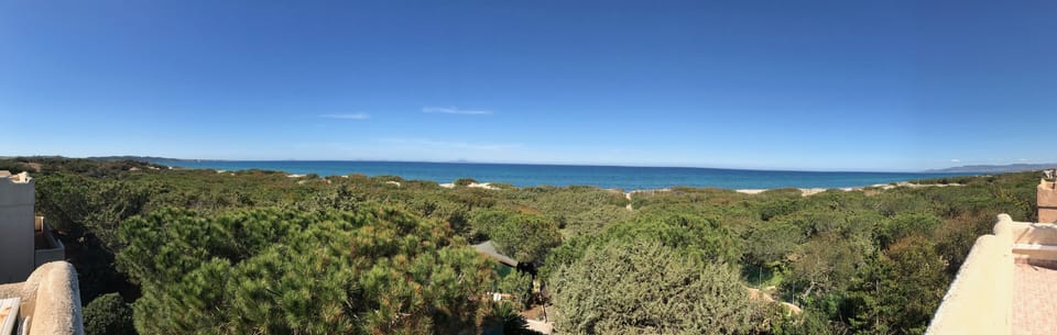 View from property