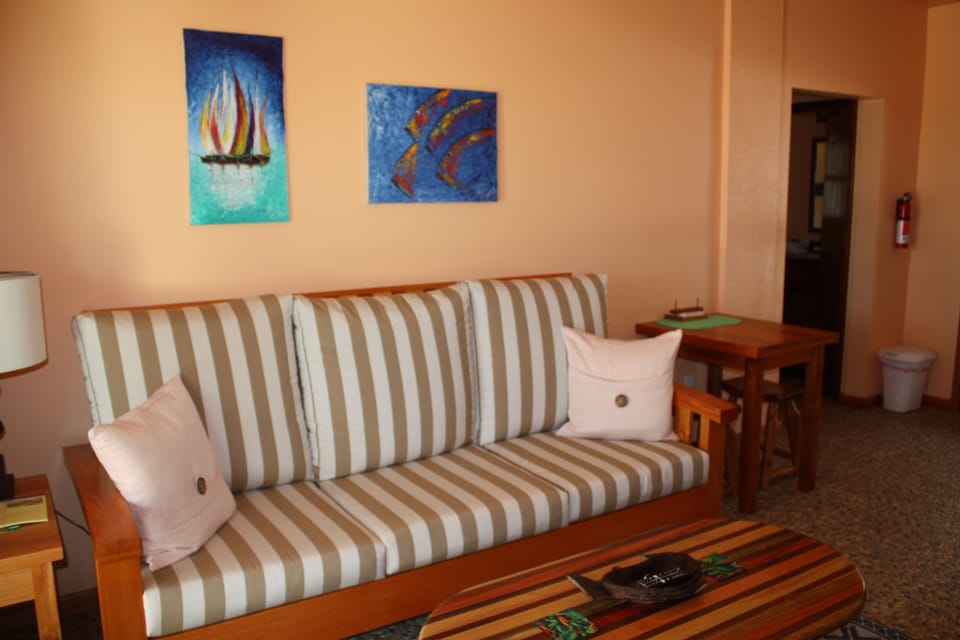Living area with flat screen TV and cable