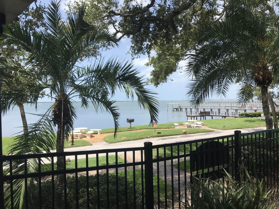 View from patio