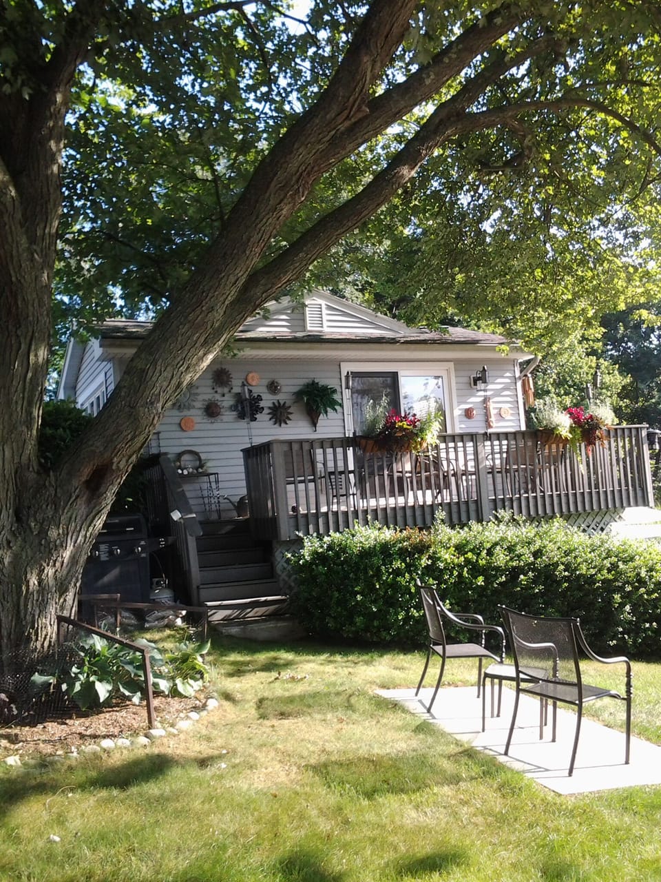 Deck with table shaded by big tree