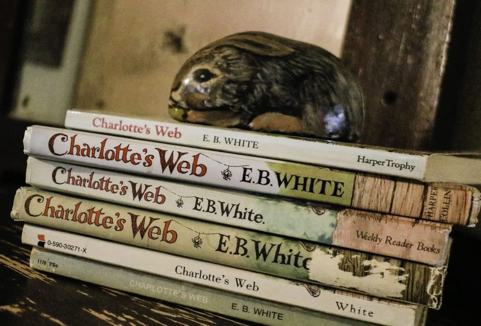 Charlotte's Web open area with a full bed.