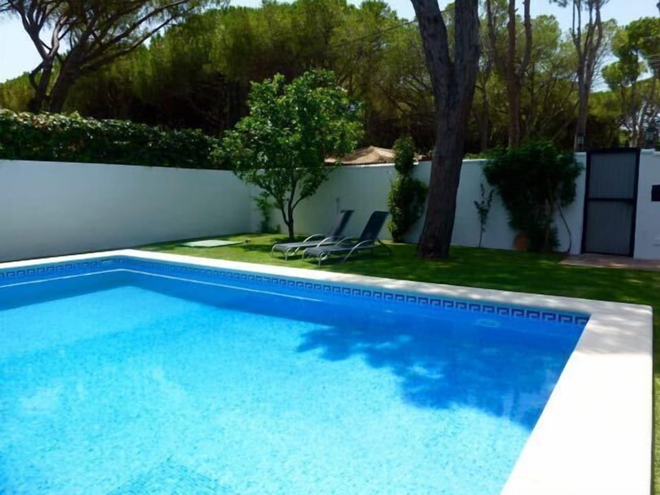 Garden and swimming pool