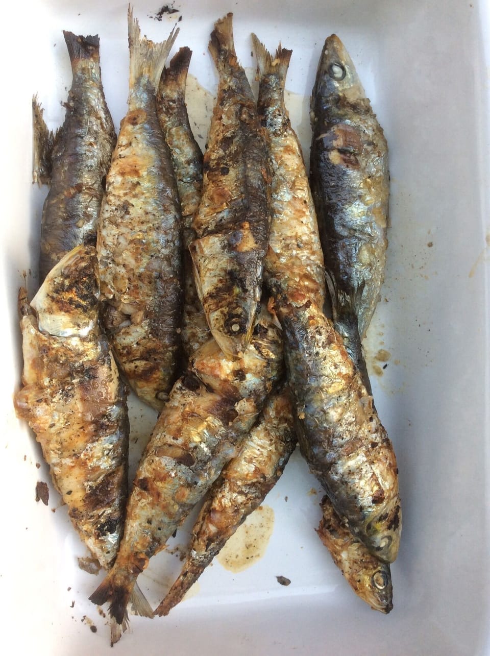 Delicious BBQ fresh caught sardines!