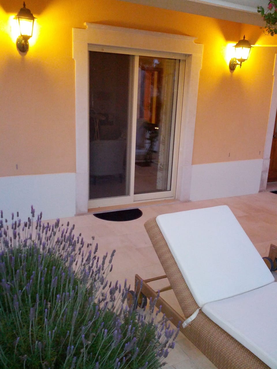 Fragrant Lavender Flowers by the Sun Loungers