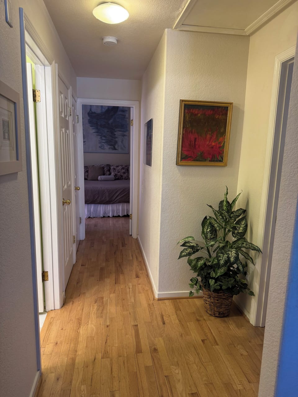 Hallway with laundry washer/dryer and utility closets.